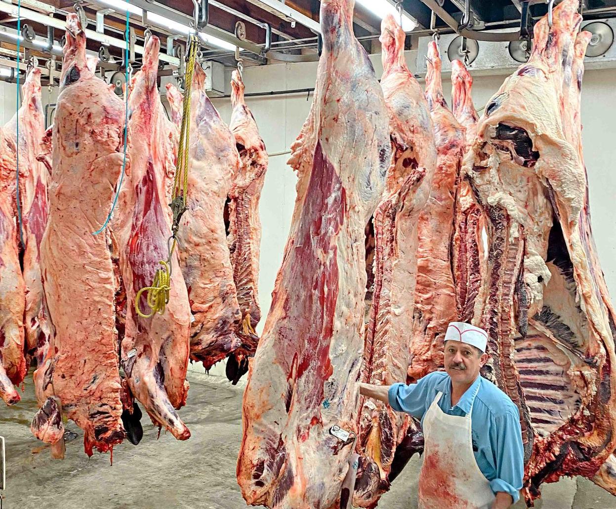 Locker is full of meat